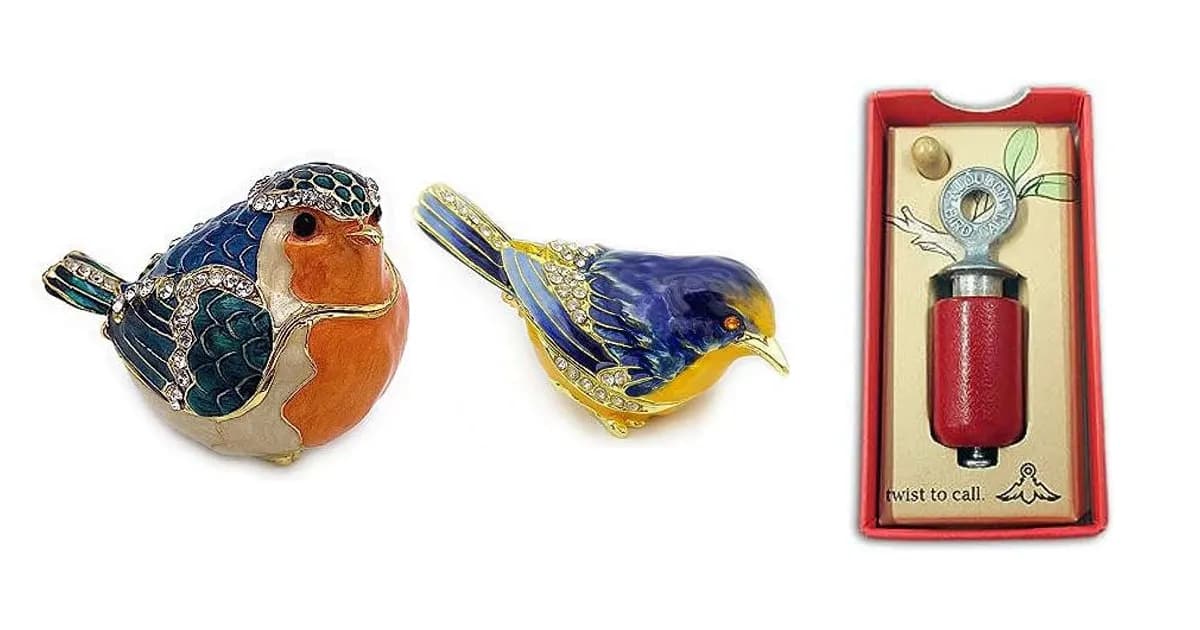 Image that represents the product page Bird Box Gifts inside the category animals.