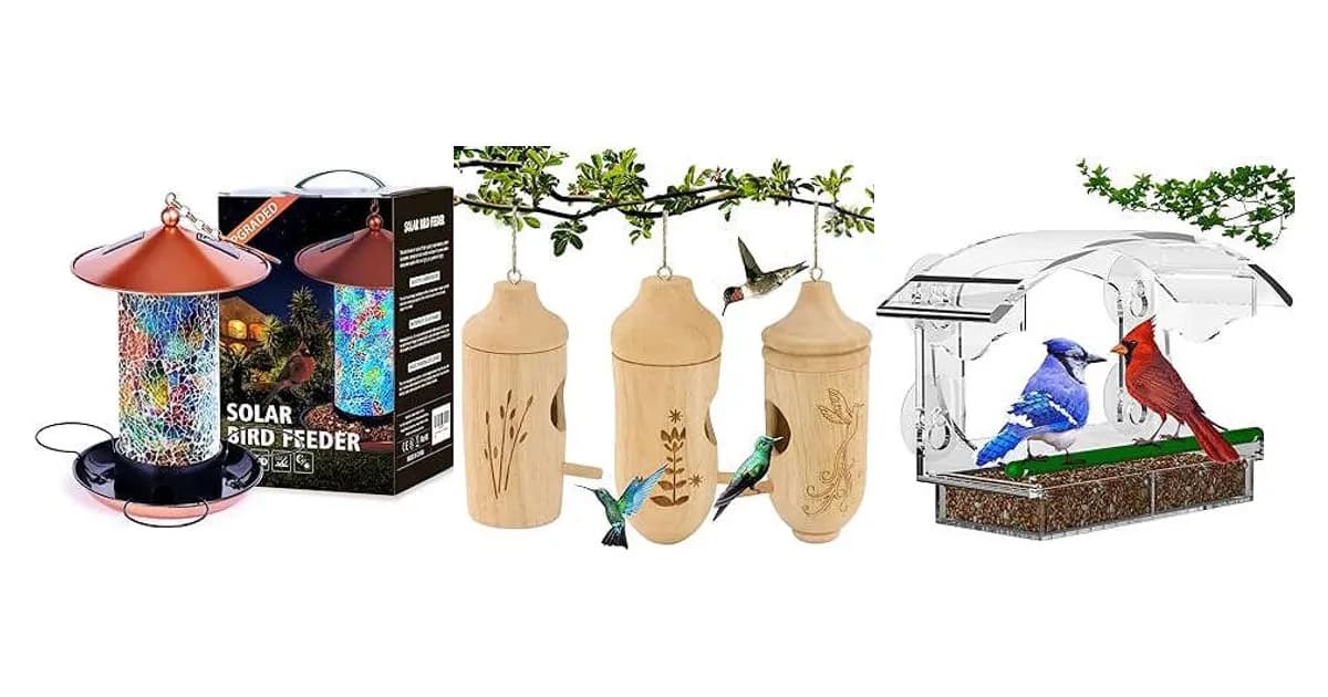 Image that represents the product page Bird House Gifts inside the category house.