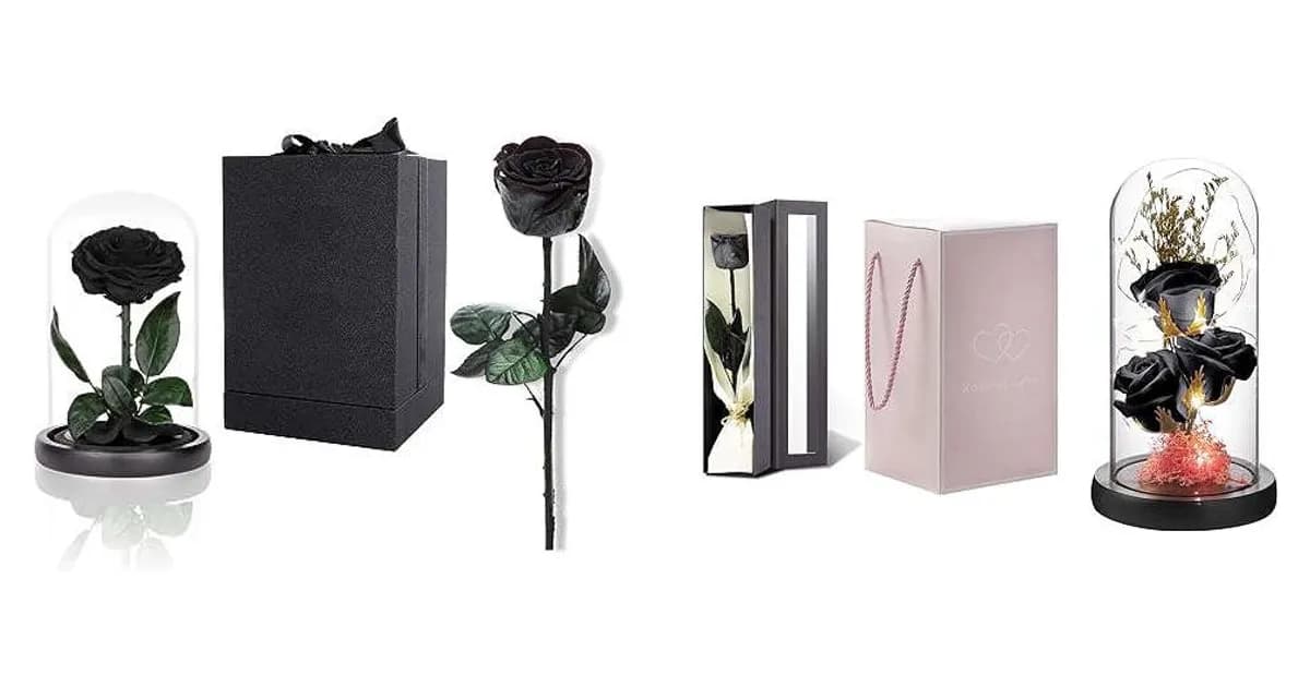 Image that represents the product page Black Rose Gifts inside the category celebrations.