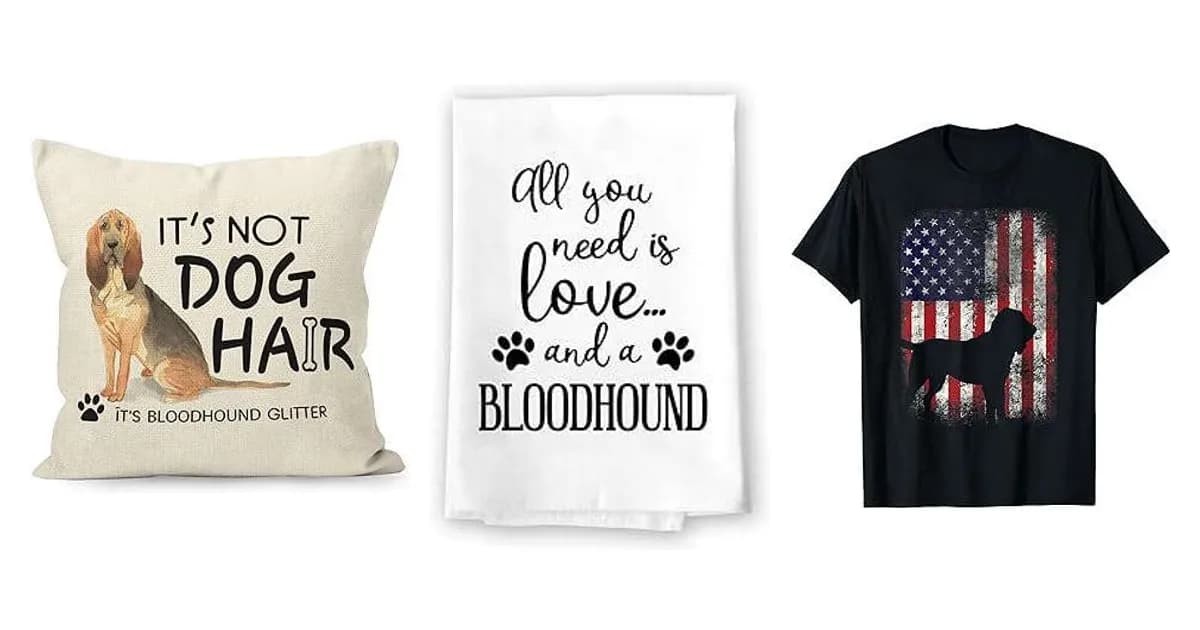 Image that represents the product page Bloodhound Gifts inside the category animals.