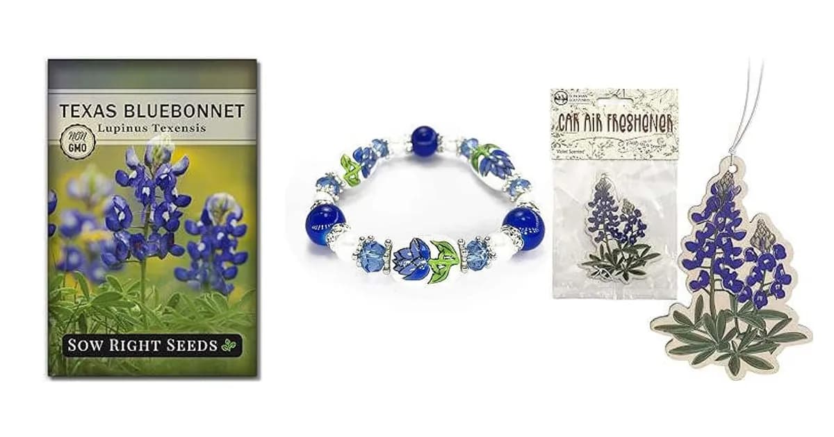 Image that represents the product page Bluebonnet Gifts inside the category celebrations.