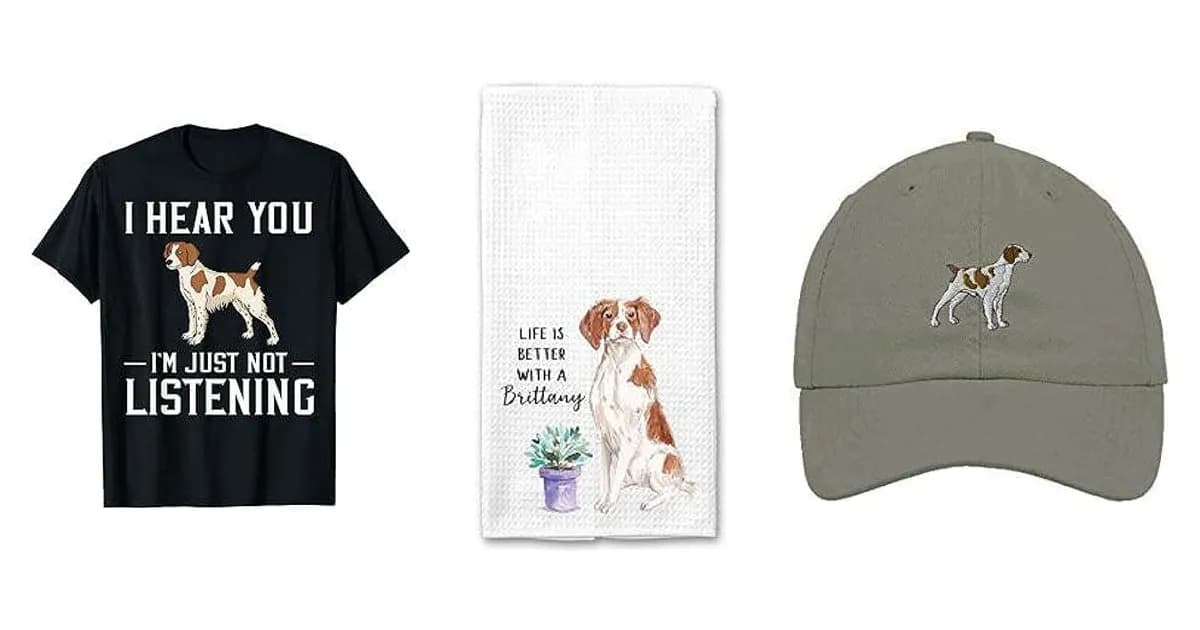Image that represents the product page Brittany Spaniel Gifts inside the category animals.