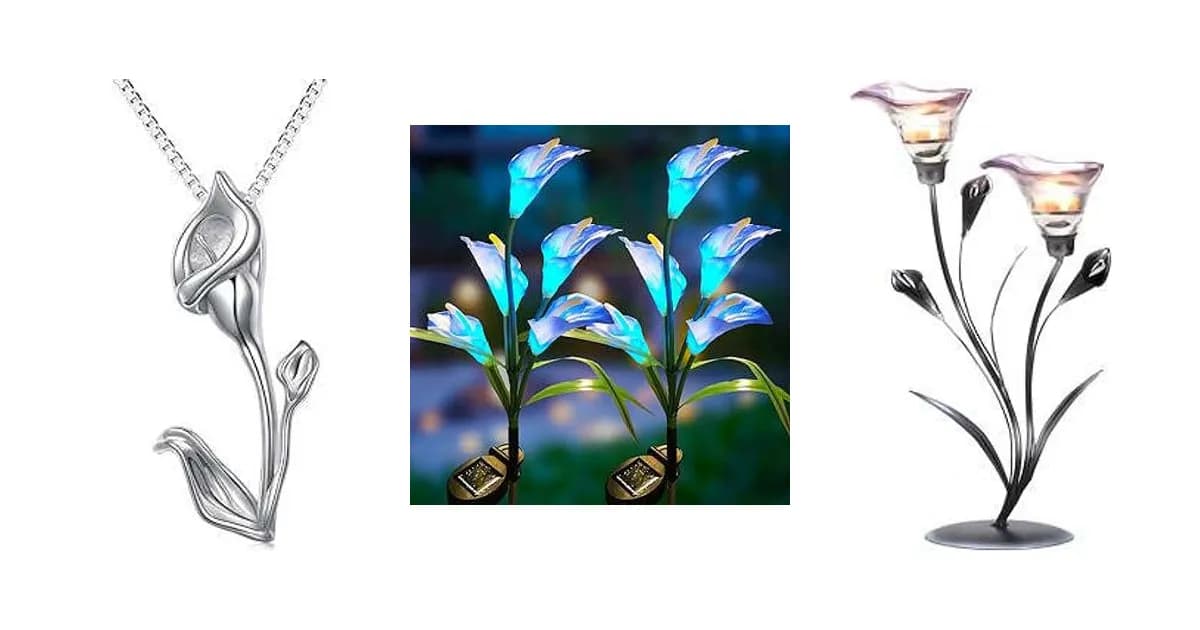 Image that represents the product page Calla Lily Gifts inside the category decoration.