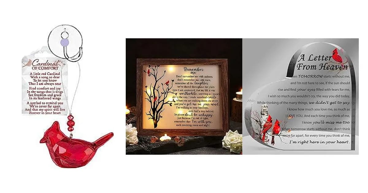Image that represents the product page Cardinal Sympathy Gifts inside the category occasions.