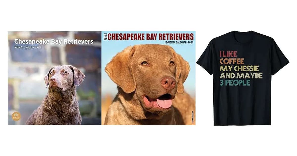 Image that represents the product page Chesapeake Bay Retriever Gifts inside the category animals.