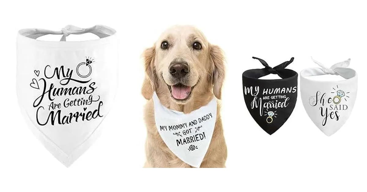Image that represents the product page Dog Wedding Gifts inside the category animals.