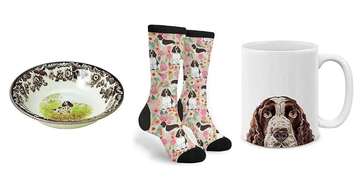 Image that represents the product page English Springer Spaniel Gifts inside the category animals.