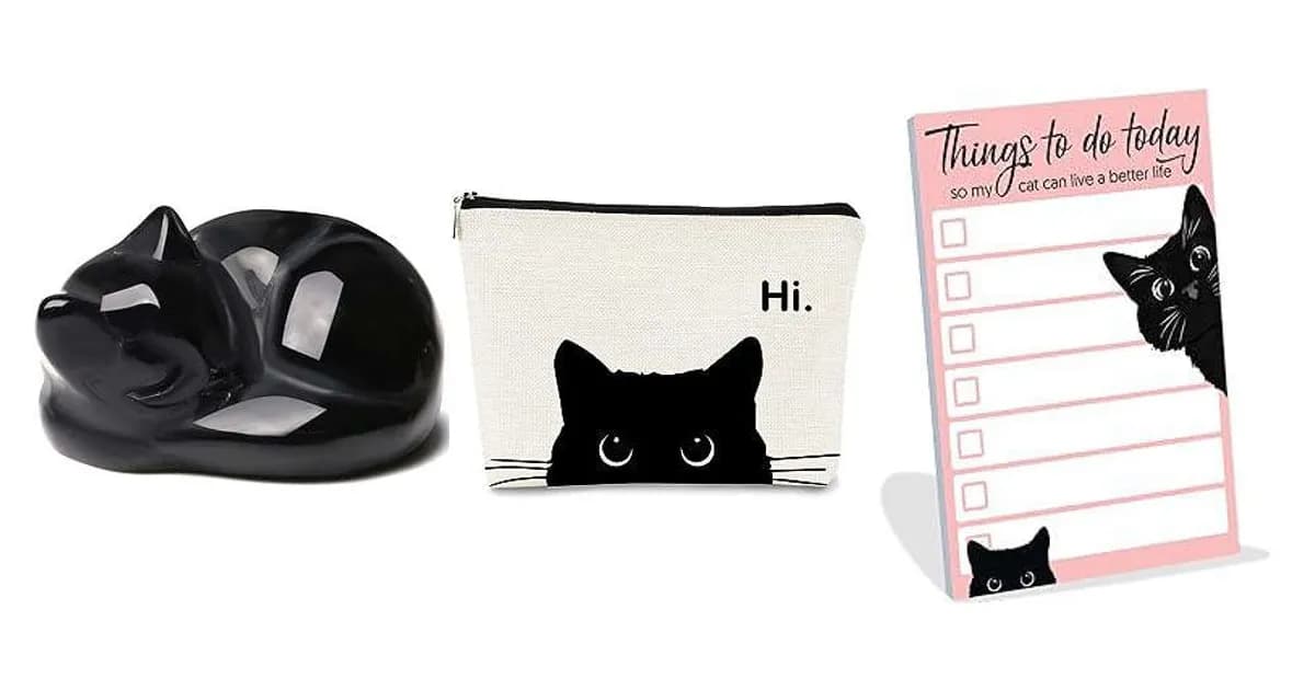 Image that represents the product page Gifts For Black Cat Lovers inside the category animals.