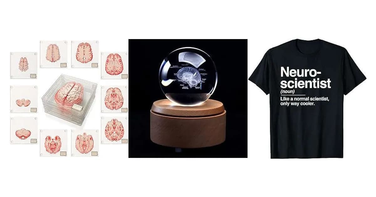 Image that represents the product page Gifts For Neuroscientists inside the category professions.