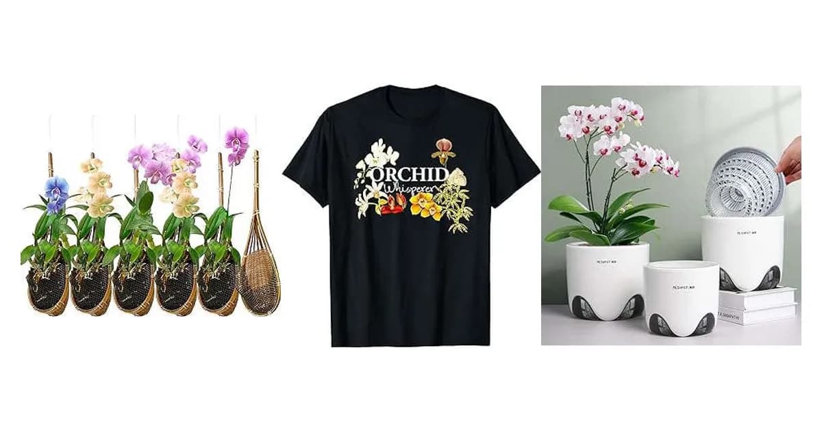 Image that represents the product page Gifts For Orchid Lovers inside the category hobbies.