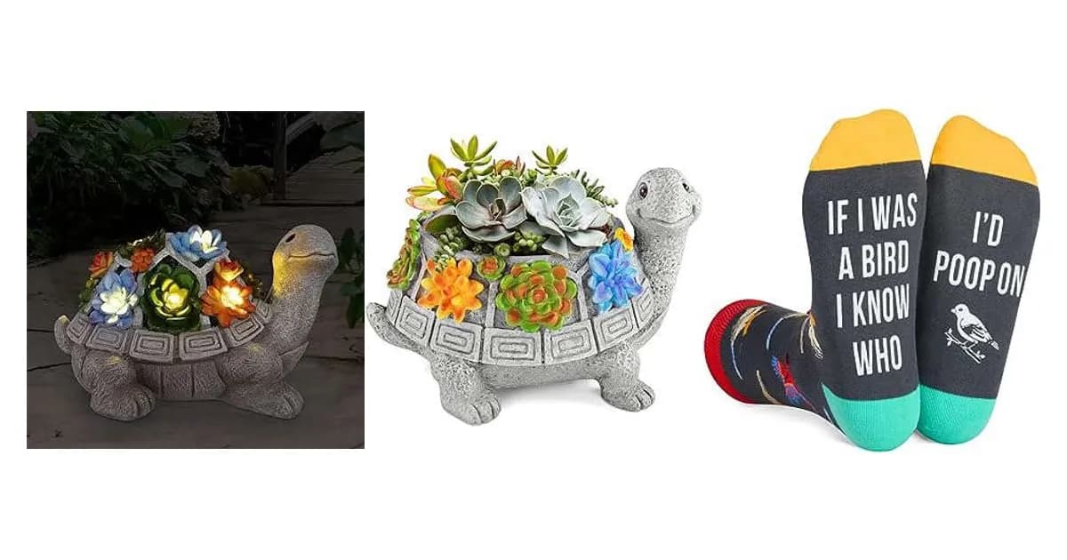 Image that represents the product page Gifts For Turtle Lovers inside the category hobbies.