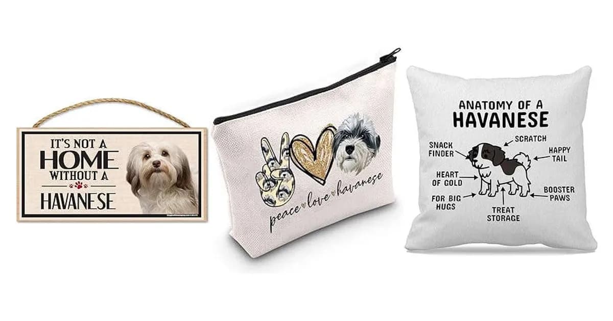 Image that represents the product page Havanese Gifts inside the category animals.