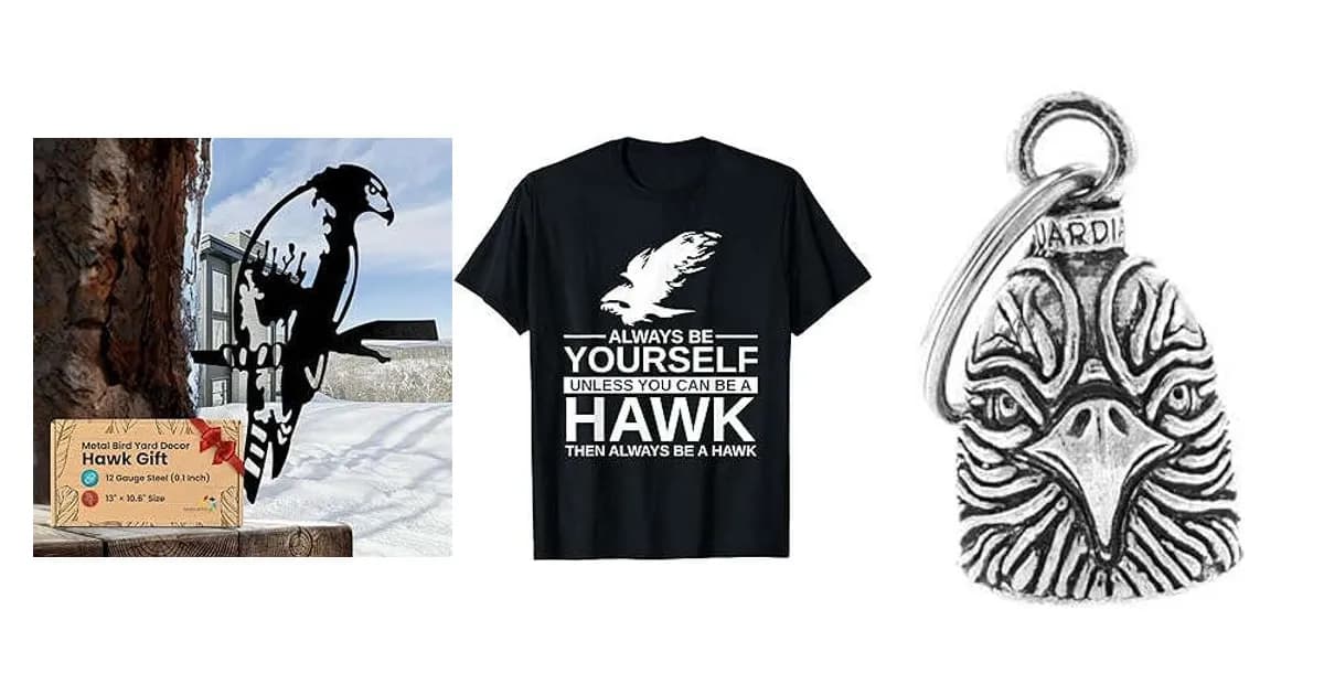 Image that represents the product page Hawk Gifts inside the category hobbies.