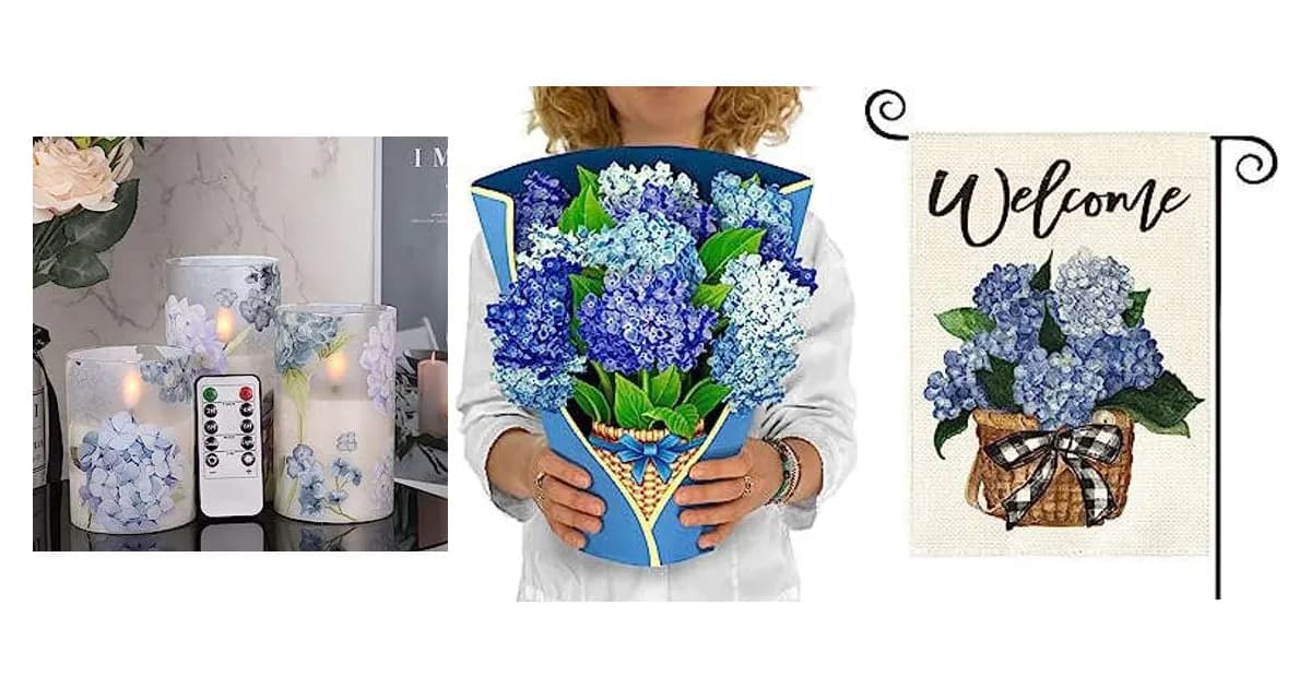 Image that represents the product page Hydrangea Gifts inside the category house.