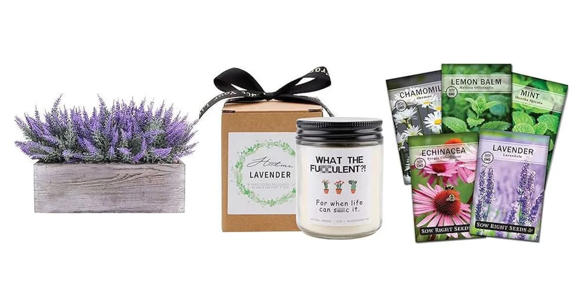 Image that represents the product page Lavender Plant Gifts inside the category house.