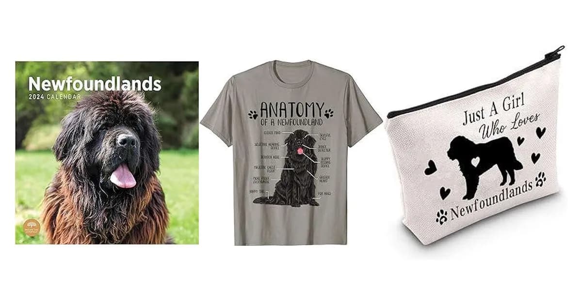 Image that represents the product page Newfoundland Dog Gifts inside the category animals.