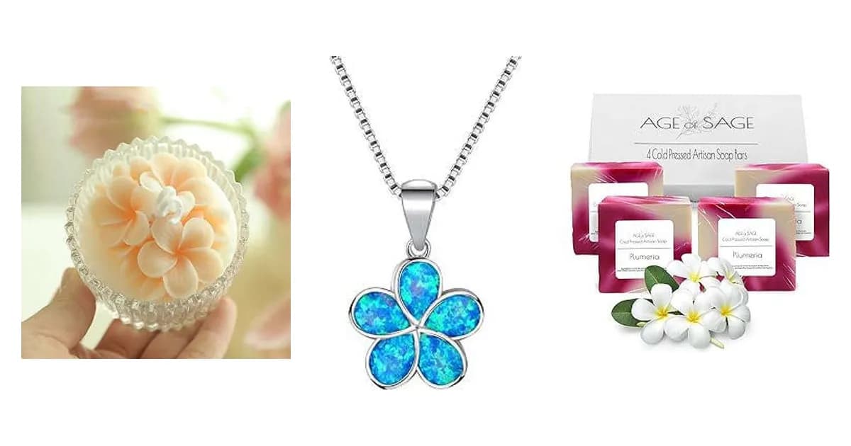 Image that represents the product page Plumeria Gifts inside the category accessories.