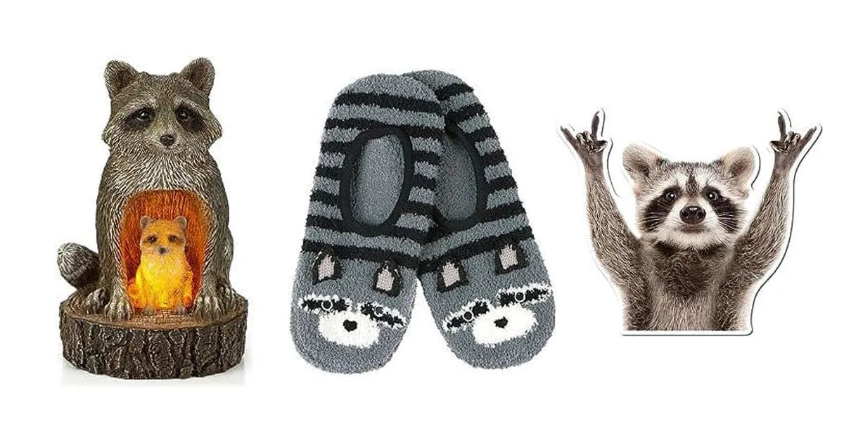 Image that represents the product page Raccoon Gifts inside the category animals.
