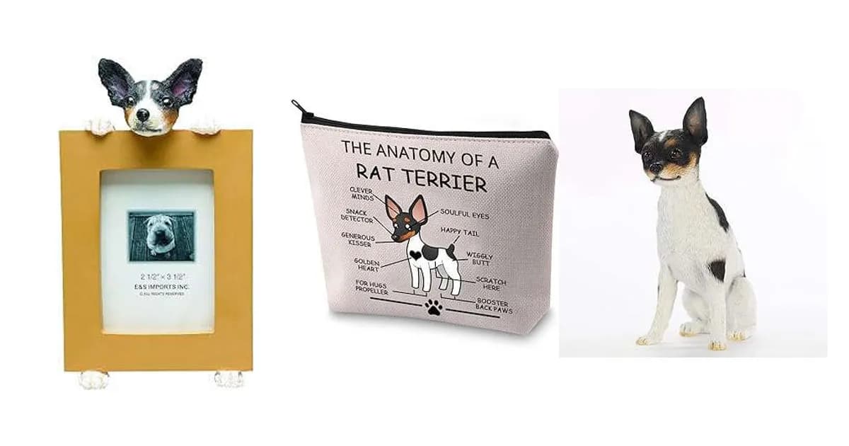Image that represents the product page Rat Terrier Gifts inside the category animals.
