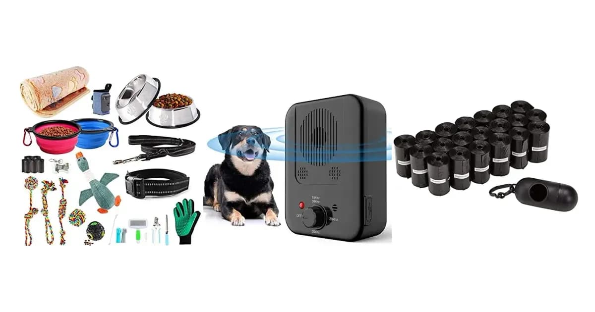 Image that represents the product page Gifts for Dogs inside the category animals.