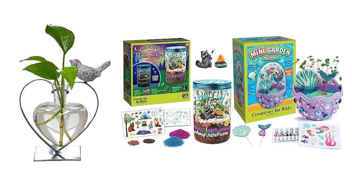 Image that represents the product page Terrarium Gifts inside the category house.
