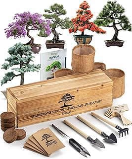 Image of Bonsai Tree Starter Kit by the company Avergo.