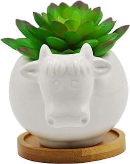Image of Animal Succulent Pot by the company Cuteforyou.