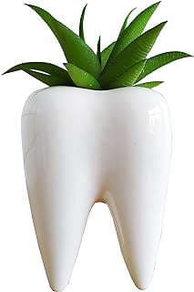 Image of Tooth Shaped Succulent Pots by the company Cuteforyou.