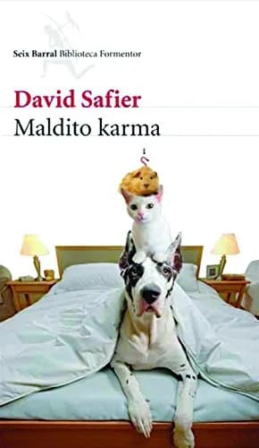 Image of Damn Karma by the company David Safier.