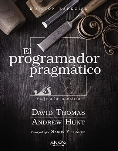 Image of The Pragmatic Programmer by the company David Thomas y Andrew Hunt.