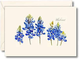 Image of Bluebonnet Notecard Set by the company Express US Customer Service.