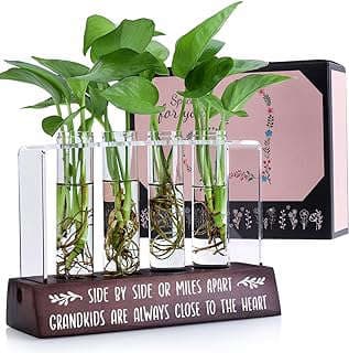 Image of Plant Propagation Station Terrarium by the company Henghere.