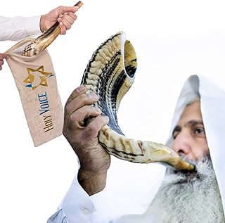 Image of Kosher Ram Shofar Horn by the company Holy Voice & More.