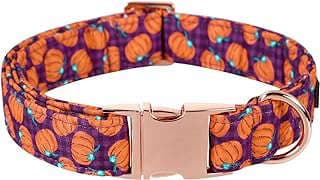 Image of Adjustable Dog Collar Pumpkin by the company Lionet Paws.