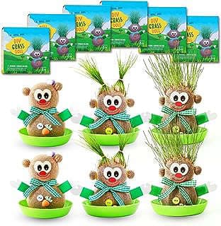 Image of Grass Doll Growing Kit by the company No Worries Goodie.