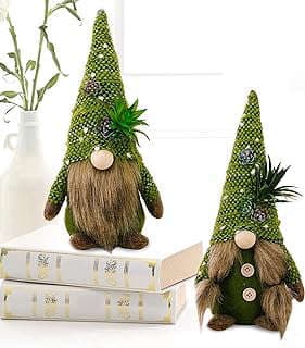 Image of Succulent Swedish Gnome Decoration by the company Obrlinaye.
