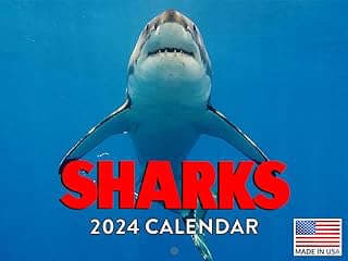 Image of Shark Wall Calendar 2024 by the company PosterFoundry.