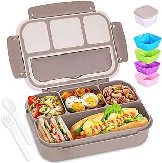 Image of Adult Bento Lunch Box by the company Shell and turtle.