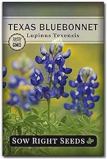 Image of Texas Bluebonnet Seeds by the company Sow Right Seed.
