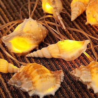 Image of Conch LED String Lights by the company Starryfill.
