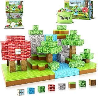 Image of Magnetic Blocks by the company Toylogy.