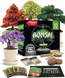 Image of Bonsai Starter Kit by the company Trading Co SW.