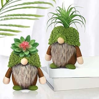Image of Succulent Gnomes Plush Decor by the company Upltowtme.
