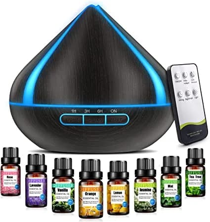 Image of Aromatherapy Diffuser by the company Vaaghanm.