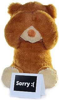 Image of Apology Teddy Bear by the company VintageTrade.