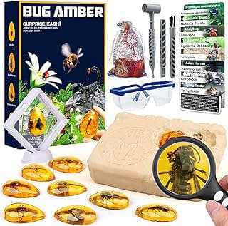 Image of Insect Excavation Kit by the company Woumserta.