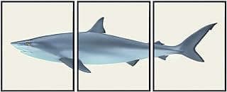 Image of Shark Art Print Set by the company Yellowbird Art & Design.