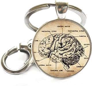 Image of Brain Anatomy Keychain by the company yiwushiqilunjinchukouyouxiangongsi.