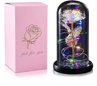 Image of Light-Up Rose Glass Dome by the company ZEYI Direct.