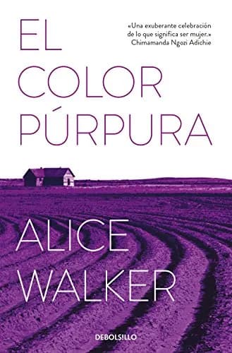 Imagem de A Cor Púrpura da empresa Alice Walker.